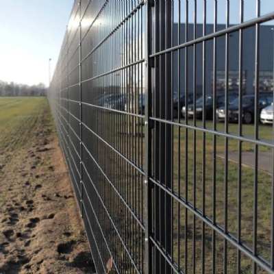 Black Double Wire Fence 2D PVC coated Panel Fencing