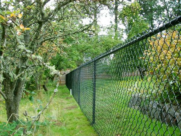 black chain link fence