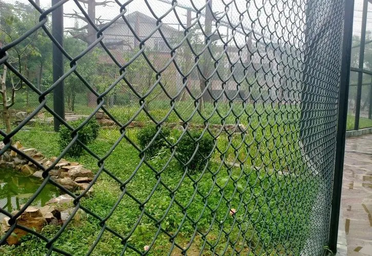 green chain link fence in farms and ranches