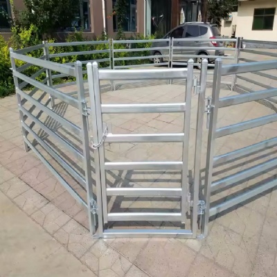 Horse Corral Panels for Secure Livestock Management